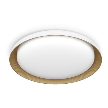 Philips - LED Stmievateľné stropné svietidlo PEBBLO SCENE SWITCH LED/10W/230V 4000K biela