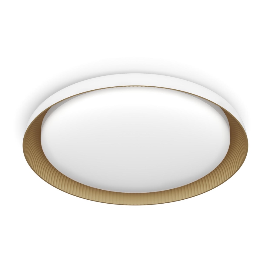 Philips - LED Stmievateľné stropné svietidlo PEBBLO SCENE SWITCH LED/10W/230V 4000K biela
