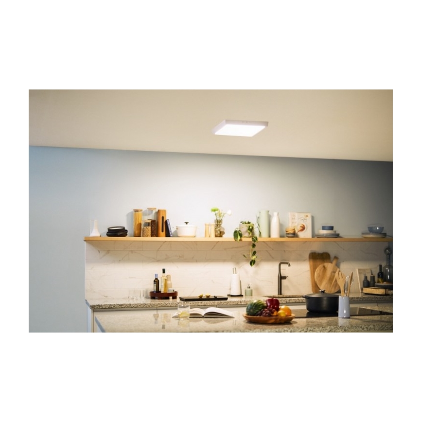 Philips - LED Stropné svietidlo LED/20W/230V 2700K biela