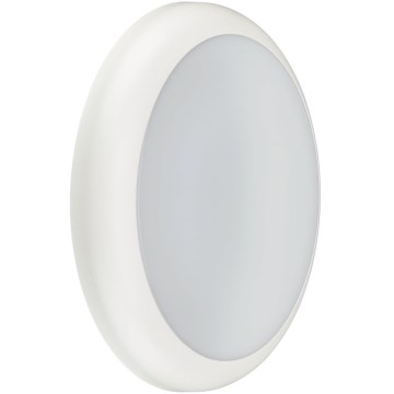 Philips - LED technické svietidlo LED/11/17W/230V 3000/4000/5700K pr. 30 cm IP65 biela