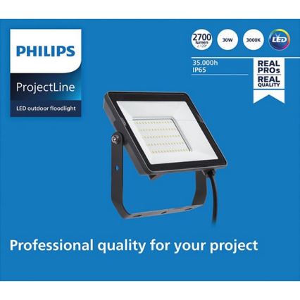 Philips - LED Vonkajší reflektor PROJECTLINE LED/30W/230V IP65 3000K