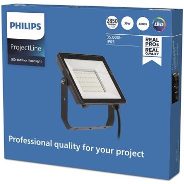Philips - LED Vonkajší reflektor PROJECTLINE LED/30W/230V IP65 4000K