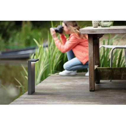 Philips - LED Vonkajšia lampa BUSTAN LED/3,8W/230V 2700K 40 cm IP44
