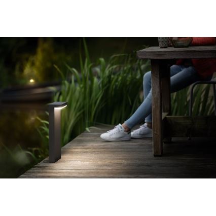 Philips - LED Vonkajšia lampa BUSTAN LED/3,8W/230V 2700K 40 cm IP44