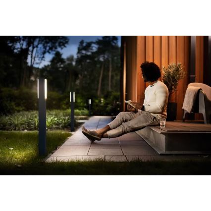 Philips - LED Vonkajšia lampa STRATOSPHERE LED/3,8W/230V 77 cm 4000K IP44