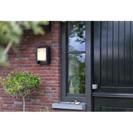 Philips - LED Vonkajšie nástenné svietidlo ARBOUR LED/3,8W/230V 2700K IP44