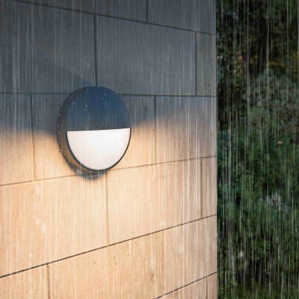 Philips - LED Vonkajšie nástenné svietidlo CAPRICORN LED/4,3W/230V IP44