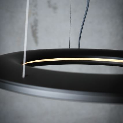 Philips Lirio 40756/93/LI - LED Závesné svietidlo ECLIPTIC 12xLED/2,5W/230V
