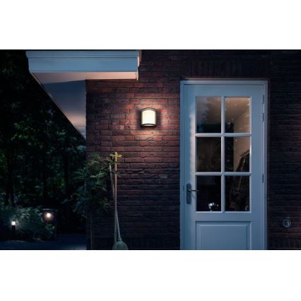 Philips Massive - LED Vonkajšie nástenné svietidlo LED/12W/230V IP44
