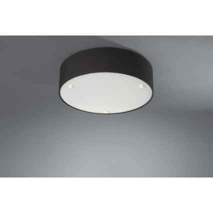 Philips Massive 30175/30/10 - Stropné svietidlo SUSAN 2xE27/23W/230V