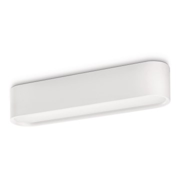 Philips Massive 30658/31/16 - Stropné svietidlo ECOMOODS 1x2G11/36W Philips Massive 30658/31/16 - Stropné svietidlo ECOMOODS 1x2G11/36W