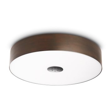Philips Massive 40340/11/16 - Stropné svietidlo ECOMOODS 1x2GX13/60W chróm Philips Massive 40340/11/16 - Stropné svietidlo ECOMOODS 1x2GX13/60W chróm