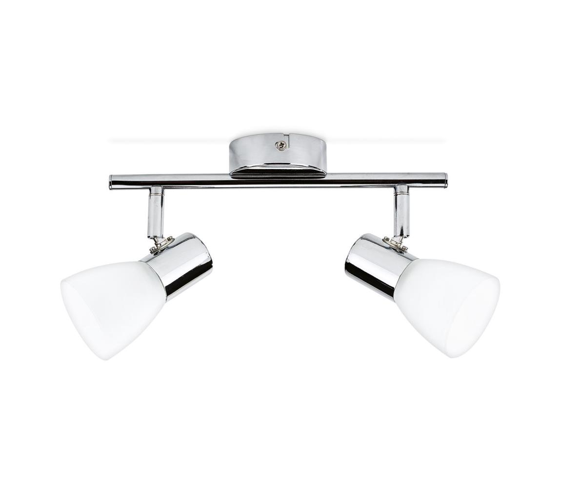 Philips Massive Philips Massive 50242/11/E1 - LED Bodové svietidlo 2xLED/4,3W/230V