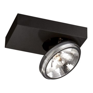 Philips Massive 53100/30/10 - Bodové svietidlo ONI 1xG53/35W/230V