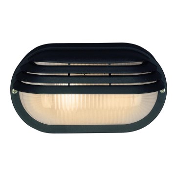 Philips Massive 71246/01/30 - Vonkajšie nástenné svietidlo 1xE27/40W