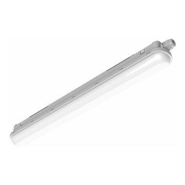 Philips Pila - technické LED svietidlo 60 W/230 V, 150 cm, IP65