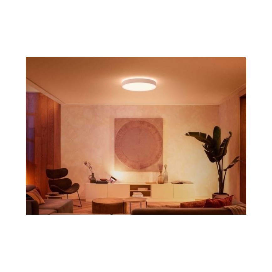 Svietidlo svieti v obývacej izbe. Okrúhle stropné svietidlo osvetľuje priestor s nábytkom, obrazom a rastlinou.