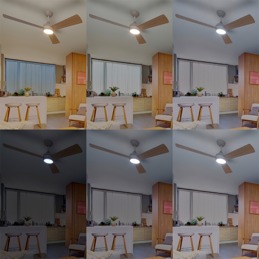 Philips - LED Stmievateľný stropný ventilátor CIVX LED/24W/230V + diaľkové ovládanie