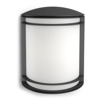 Philips - Vonkajšie nástenné svietidlo LED/6W/230V IP44