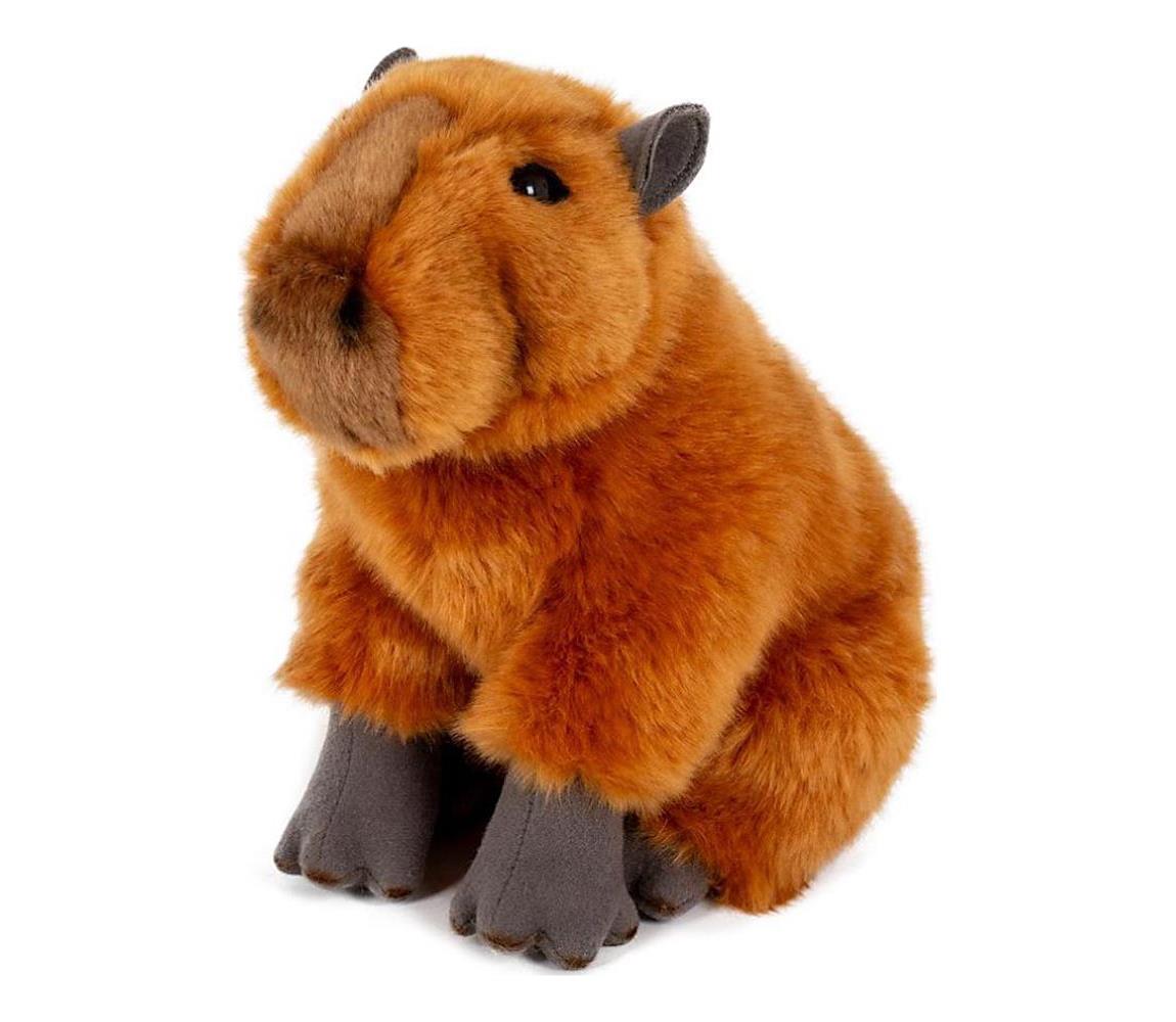 Teddies Plyšová kapibara 25 cm 00010157