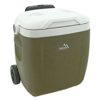 Pojazdný chladiaci box 16 l zelený