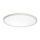Prezent 27304 - LED Kúpeľňové stropné svietidlo CORDIA LED/12W/230V 3000/6000K IP54 biela