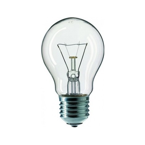 Priemyselná žiarovka CLEAR E27/100W/240V