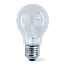 Priemyselná žiarovka E27/200W/230V