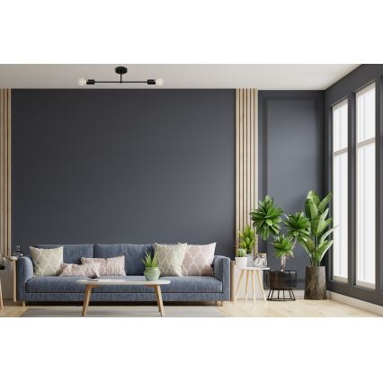Prisadený luster CAMBRIDGE 2xE27/15W/230V čierna