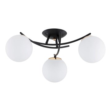 Prisadený luster SAVI 3xE14/10W/230V čierna/zlatá