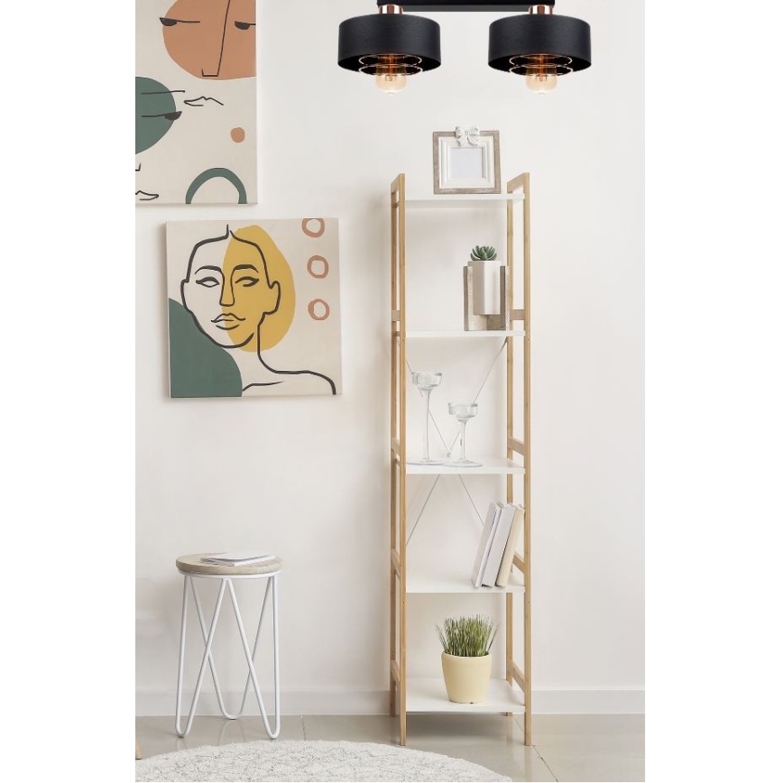 Dvojité stropné svietidlo svieti nad bielou policovou zostavou s kvetináčom a knihami. Na stene visia abstraktné obrazy.