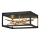 Quintiesse - LED stropné svietidlo STYX LED/8W/230V čierna/zlatá