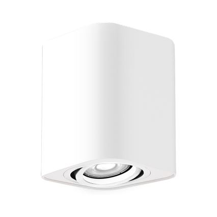 Rabalux - Bodové svietidlo 1xGU10/42W/230V biela