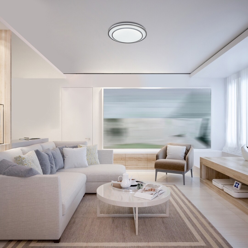 Rabalux - LED stmievateľné stropné svietidlo LED/40W/230V 3000-6500K strieborné pr. 49 cm + diaľkové ovládanie
