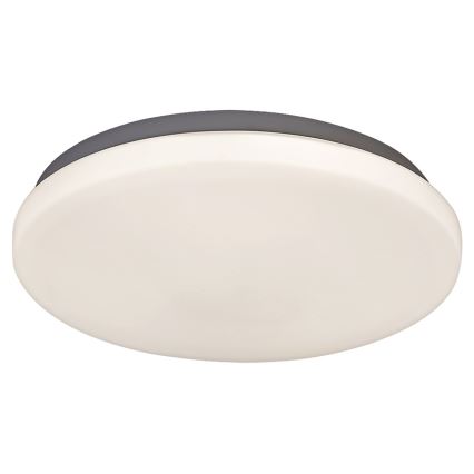 Rabalux 2284 - LED Stropné svietidlo ROB 1xLED/20W/230V