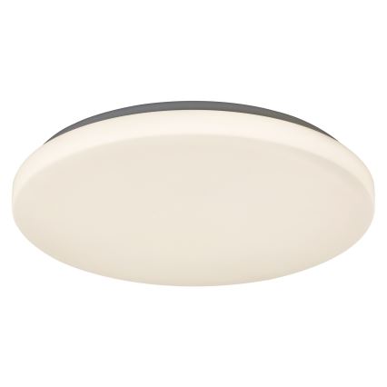 Rabalux - LED Stropné svietidlo 1xLED/32W/230V pr. 38 cm