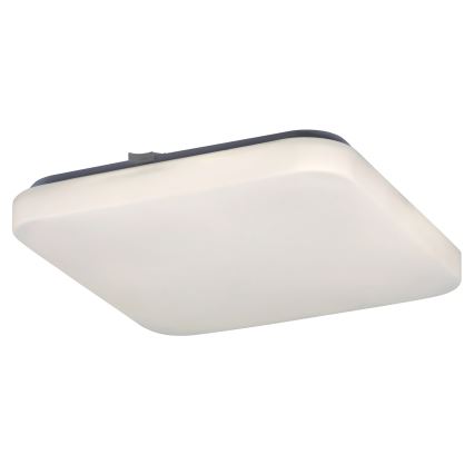 Rabalux 2286 - LED Stropné svietidlo ROB 1xLED/20W/230V
