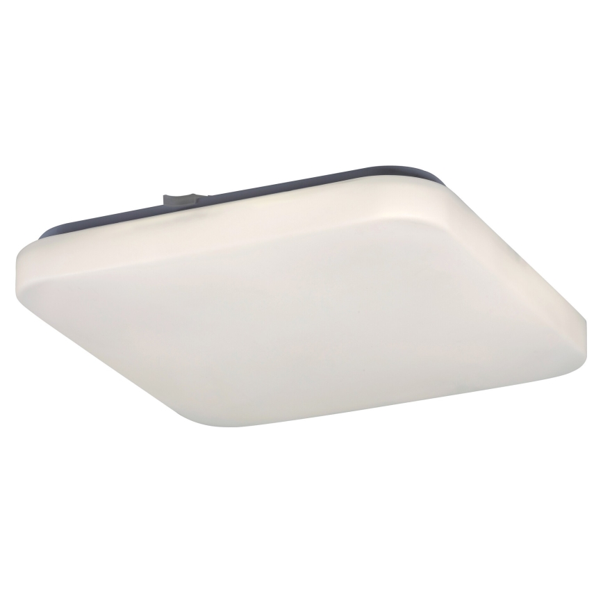 Rabalux 2286 - LED Stropné svietidlo ROB 1xLED/20W/230V