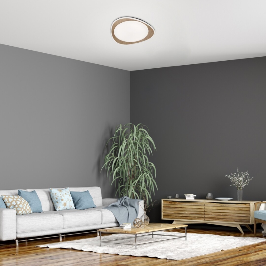 Rabalux - LED Stropné svietidlo LED/24W/230V