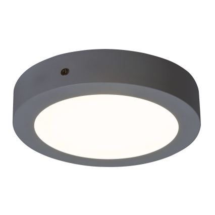 Rabalux - LED Stropné svietidlo LED/12W/230V