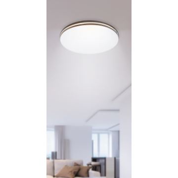 Rabalux - LED Stropné svietidlo 1xLED/18W/230V