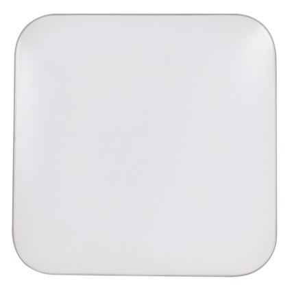 Rabalux - LED Stropné svietidlo 1xLED/18W/230V