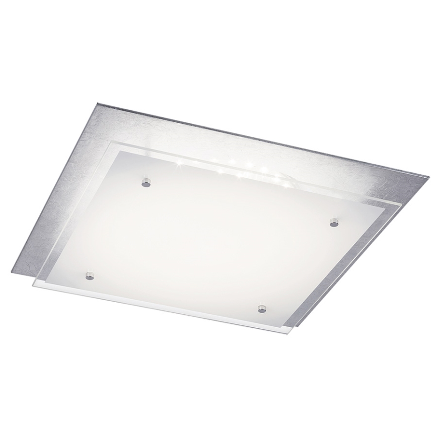 Rabalux 3031 - LED Stropné svietidlo JUNE 1xLED/24W/230V