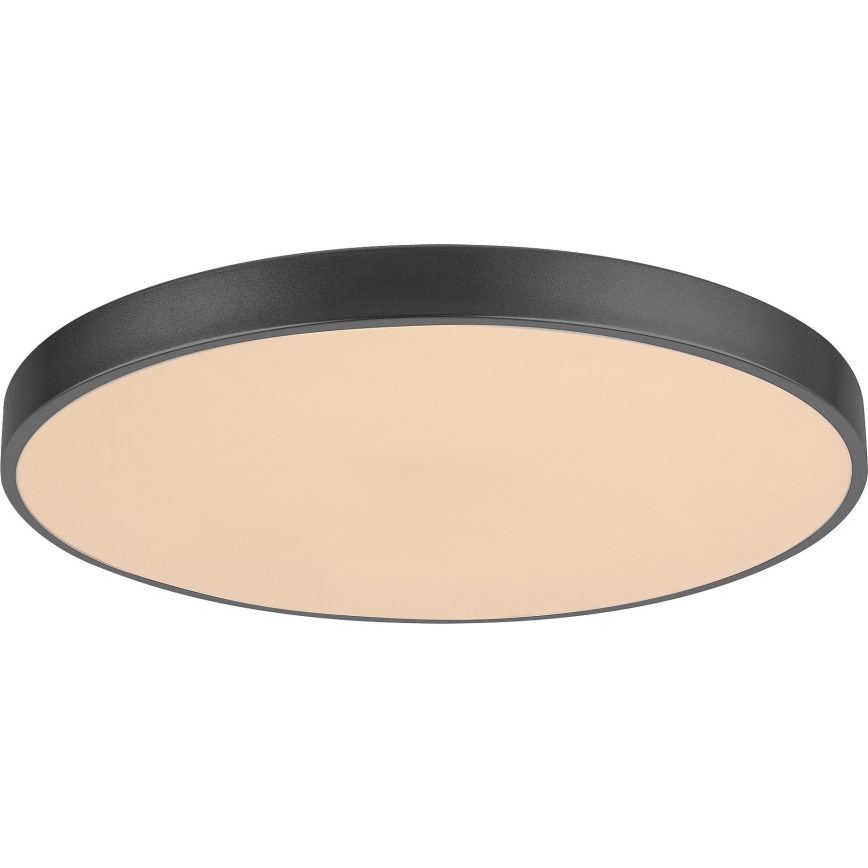 Rabalux - LED Stmievateľné stropné svietidlo LED/60W/230V 60 cm + diaľkové ovládanie