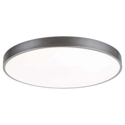 Rabalux - LED Stmievateľné stropné svietidlo LED/60W/230V 60 cm + diaľkové ovládanie