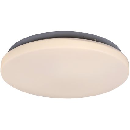 Rabalux - LED Stropné svietidlo 1xLED/20W/230V pr. 29 cm