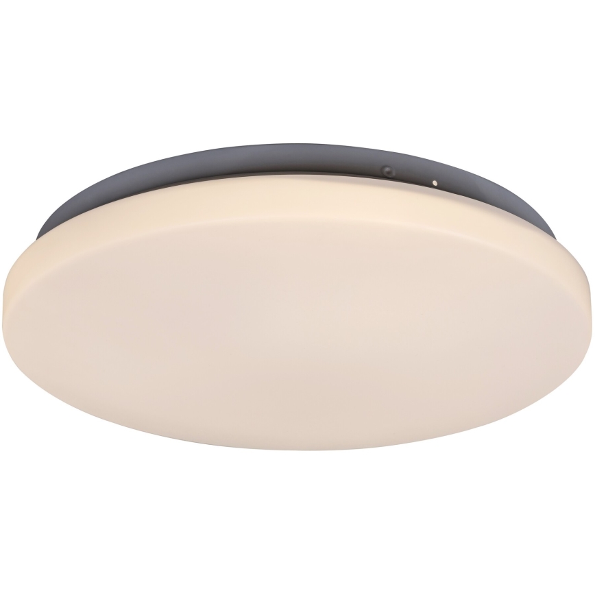 Rabalux - LED Stropné svietidlo LED/20W/230V