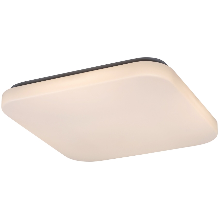 Rabalux - LED Stropné svietidlo LED/32W/230V