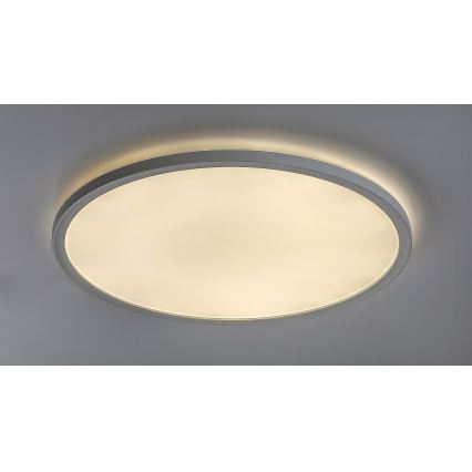 Rabalux - LED Stmievateľné stropné svietidlo LED/22W/230V