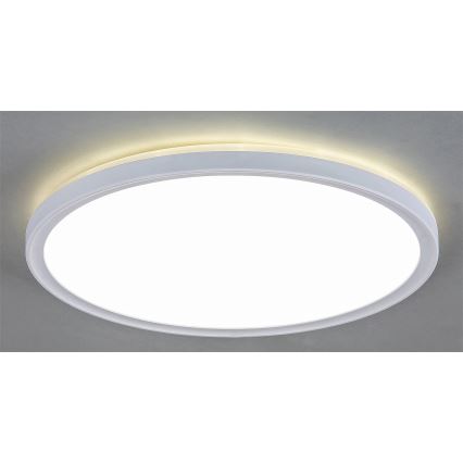 Rabalux - LED Stmievateľné stropné svietidlo LED/22W/230V